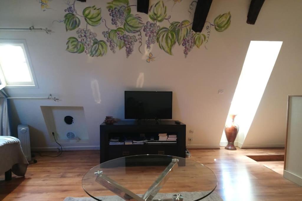 Appartement Cite Medievale, Charme & Calme, Bien Place *