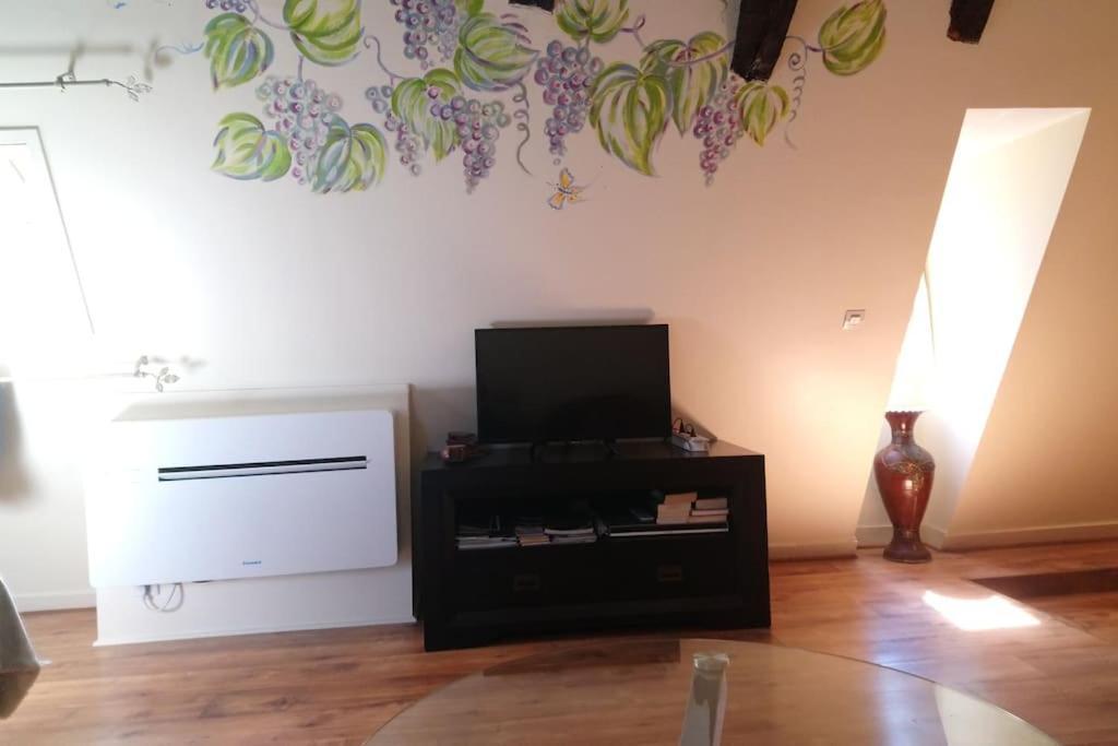 Apartment Cite Medievale, Charme & Calme, Bien Place